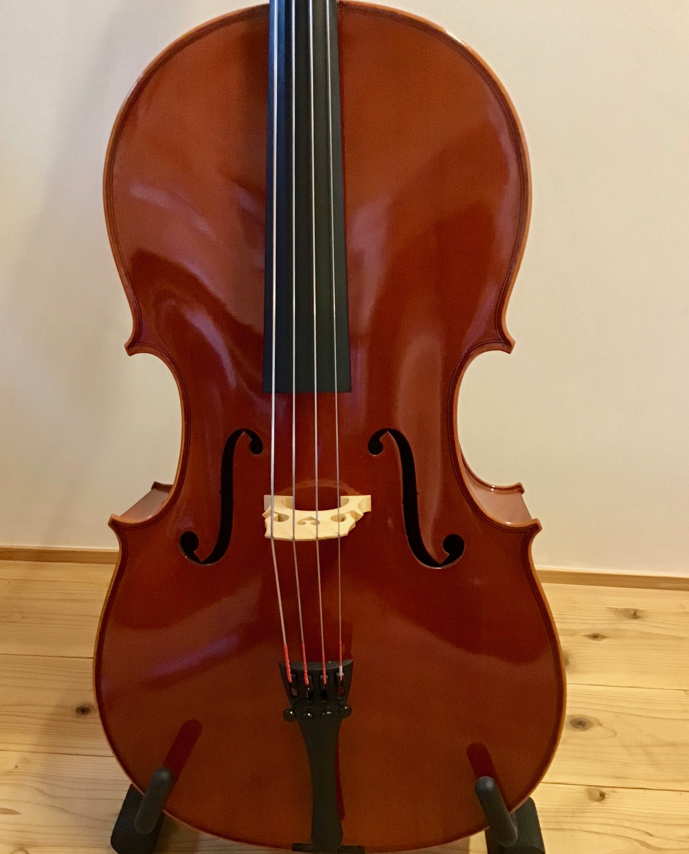 Pygmalius DC-250 4/4 Cello チェロ　02年製 中古】 Pygmalius DC-250 4/4 Cello チェロ 07年製 定価262,500